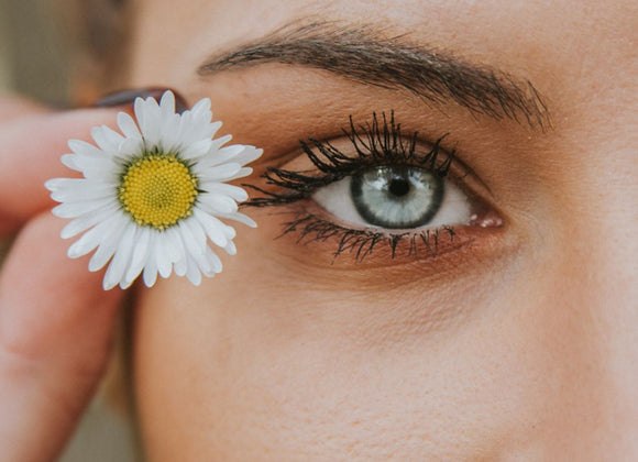 Ingredient Spotlight: Aloe Vera for Healthy Skin