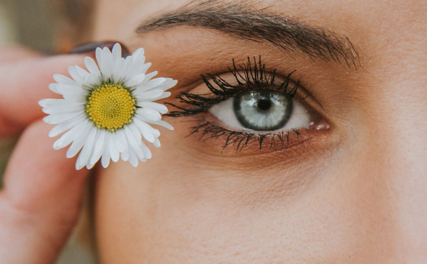 Ingredient Spotlight: Aloe Vera for Healthy Skin